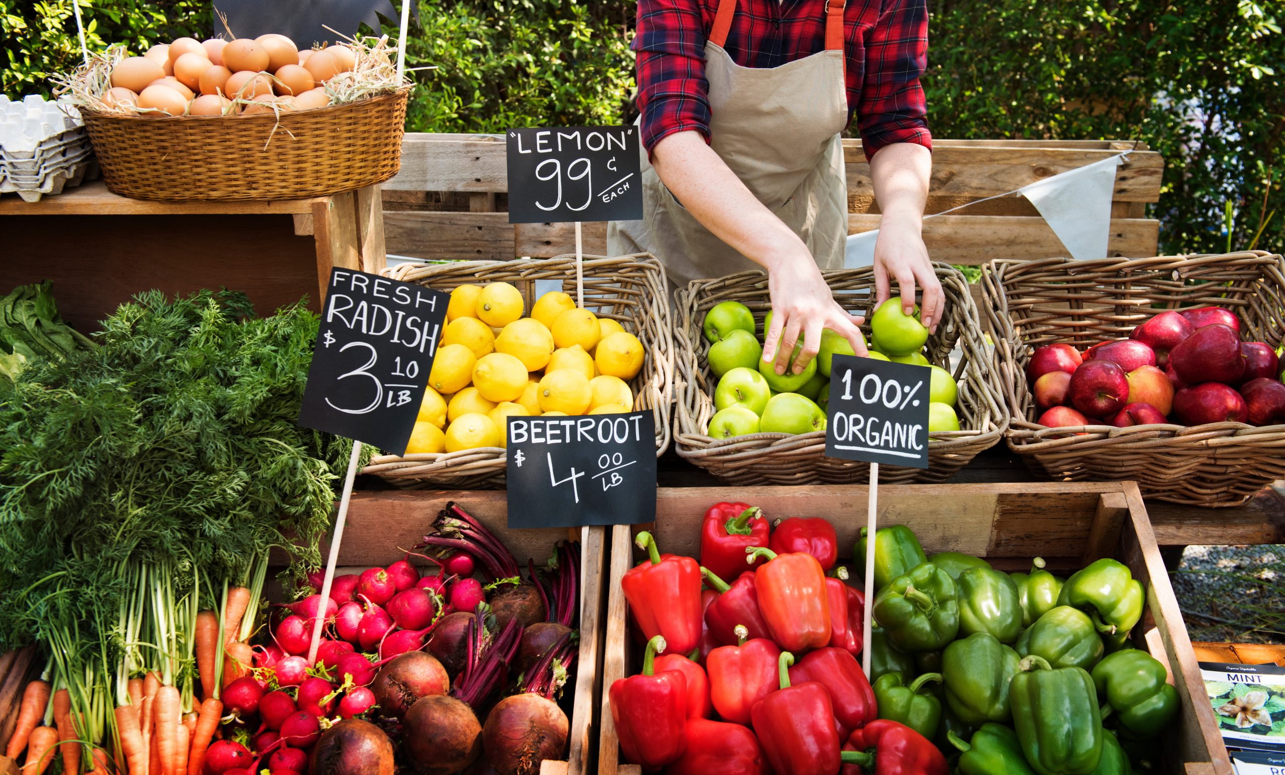 All you Need to Know about Setting up a Farm Shop